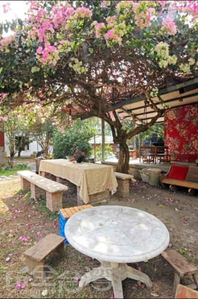 Dongguang Zhixing Homestay يوشيه المظهر الخارجي الصورة